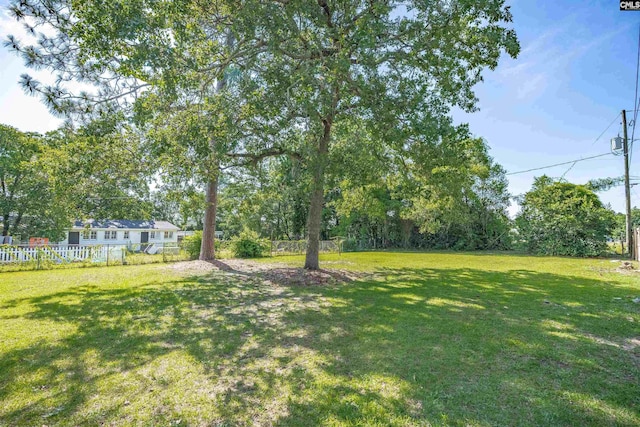 1321 C Ave, West Columbia, SC 29169 - view of yard