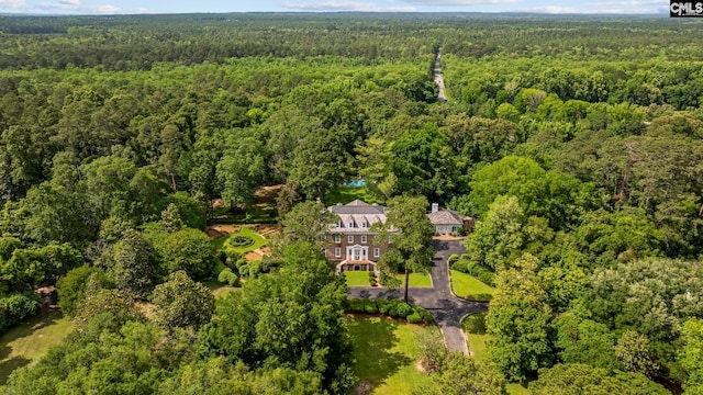 1100 W Carolina Ave, Hartsville, SC 29550 - aerial view of a forest