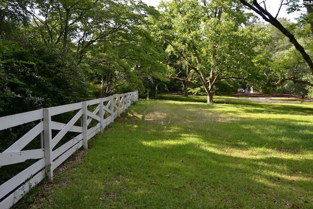 1100 W Carolina Ave, Hartsville, SC 29550 - view of yard