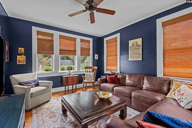 107 Southwood, Columbia, SC 29205 - living area featuring wood finished floors, a ceiling fan, and ornamental molding
