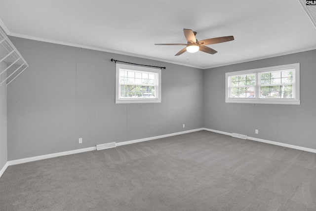 344 Rawls Dr, Leesville, SC 29070 - carpeted empty room featuring healthy amount of natural light, ceiling fan, and ornamental molding