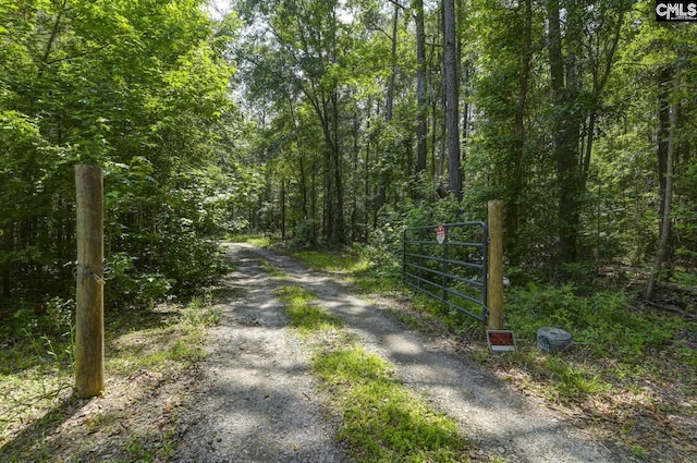 100 Bishop Ln, Prosperity, SC 29127