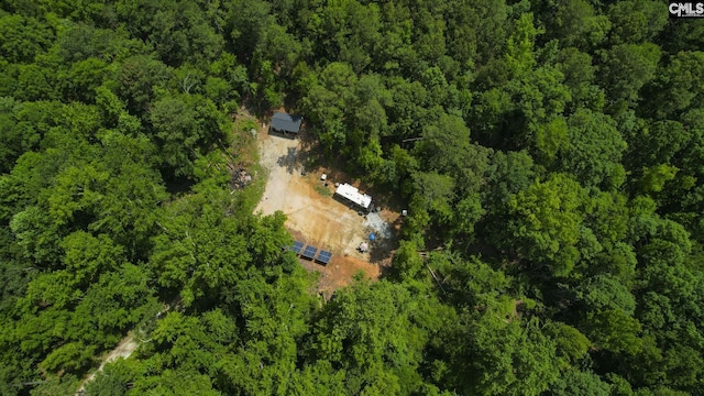 100 Bishop Ln, Prosperity, SC 29127