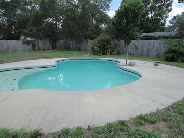 309 Pebble Creek Ct, West Columbia, SC 29170 - view of swimming pool featuring a patio area and a fenced backyard