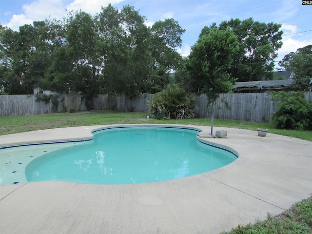 309 Pebble Creek Ct, West Columbia, SC 29170 - view of swimming pool with a patio area and a fenced backyard