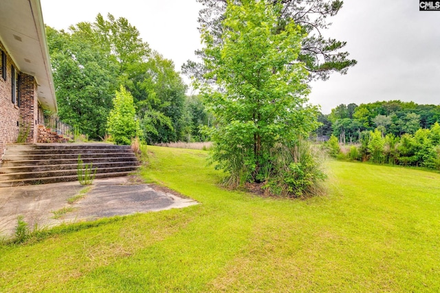 2117 Togetherness Way, Mcbee, SC 29101 - view of grassy yard