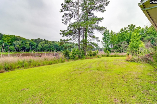 2117 Togetherness Way, Mcbee, SC 29101 - view of green lawn with a forest view