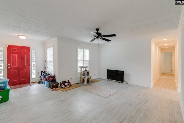 2117 Togetherness Way, Mcbee, SC 29101 - living room with wood finished floors, a textured ceiling, ornamental molding, and a ceiling fan