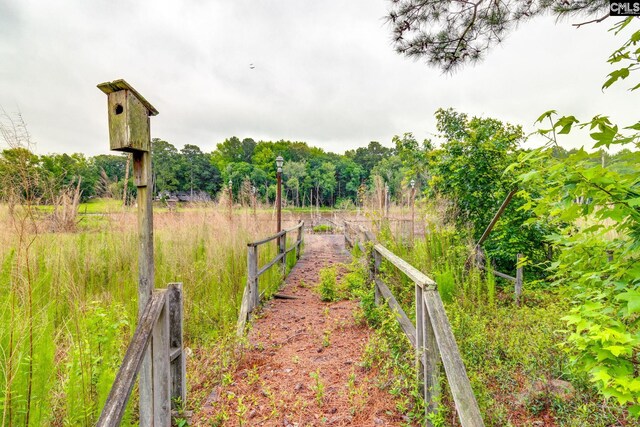 2117 Togetherness Way, Mcbee, SC 29101 - view of yard featuring a wooded view