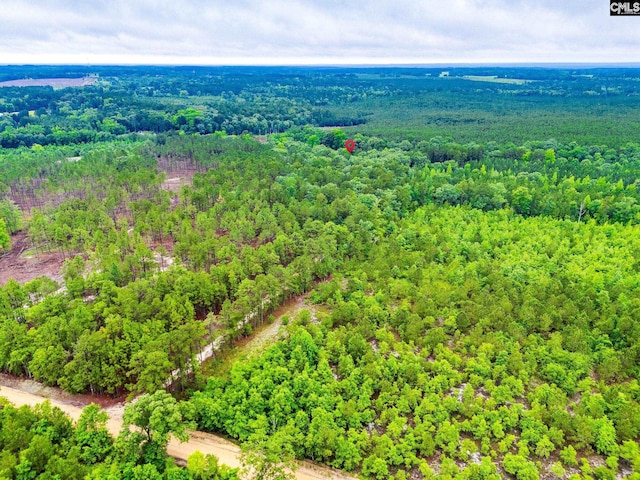 2117 Togetherness Way, Mcbee, SC 29101 - aerial view of a heavily wooded area