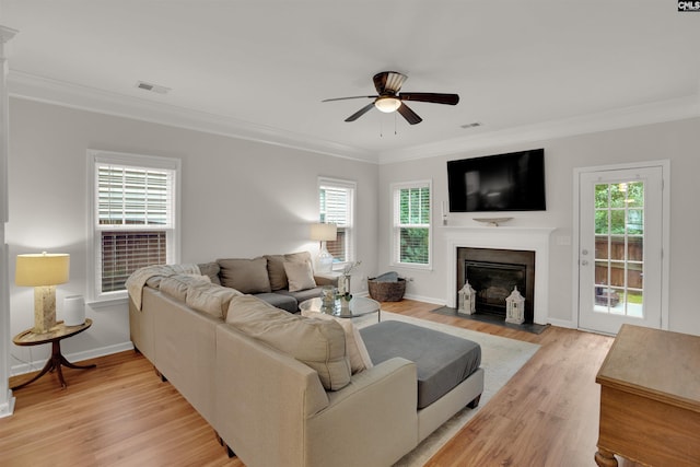 330 Lanyard Ln, Chapin, SC 29036 - living area with a ceiling fan, light wood-style floors, healthy amount of natural light, and ornamental molding
