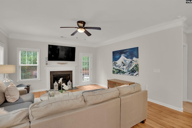 330 Lanyard Ln, Chapin, SC 29036 - living room with ceiling fan, light wood finished floors, a fireplace with flush hearth, plenty of natural light, and ornamental molding