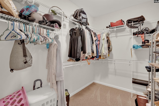 330 Lanyard Ln, Chapin, SC 29036 - walk in closet with carpet floors