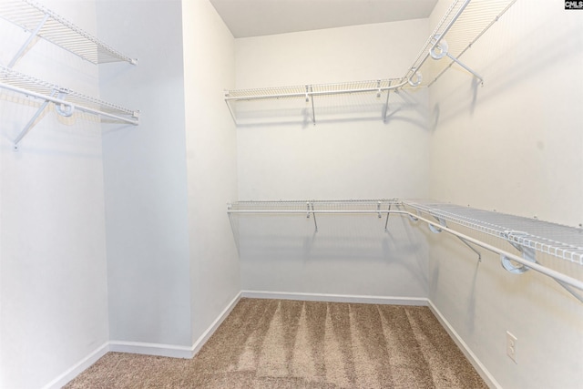 124 Weeping Oak Ln, West Columbia, SC 29169 - spacious closet with carpet floors