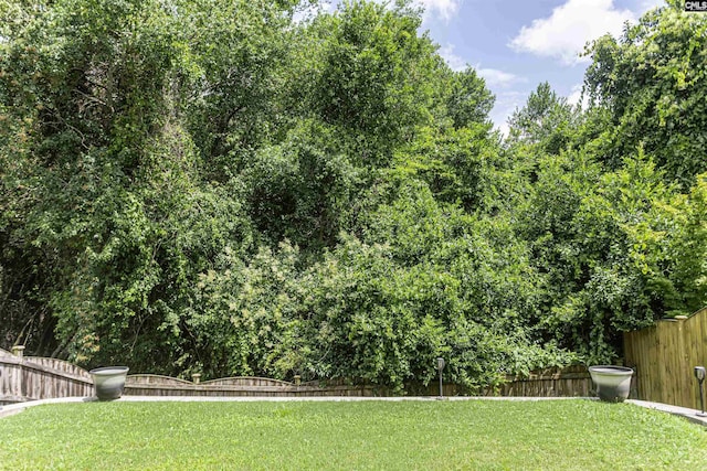 124 Weeping Oak Ln, West Columbia, SC 29169 - view of fenced backyard