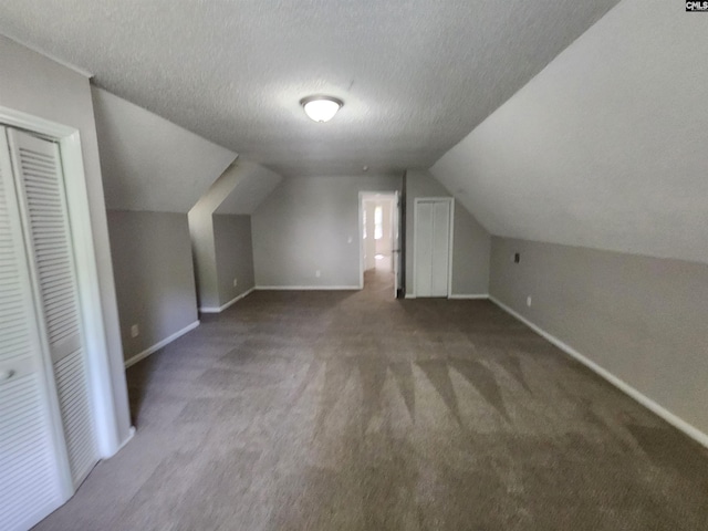 325 Trinity Three Rd, Irmo, SC 29063 - additional living space featuring carpet flooring, vaulted ceiling, and a textured ceiling