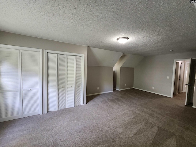 325 Trinity Three Rd, Irmo, SC 29063 - bonus room featuring carpet flooring, a textured ceiling, and vaulted ceiling