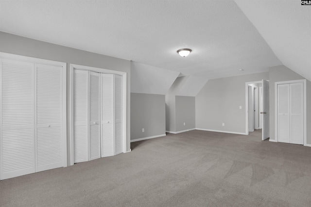 325 Trinity Three Rd, Irmo, SC 29063 - additional living space featuring carpet floors, lofted ceiling, and a textured ceiling