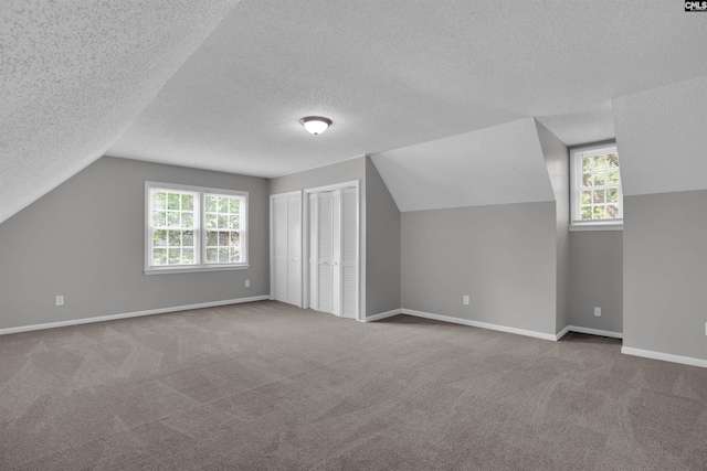 325 Trinity Three Rd, Irmo, SC 29063 - bonus room with vaulted ceiling, a textured ceiling, carpet, and healthy amount of natural light