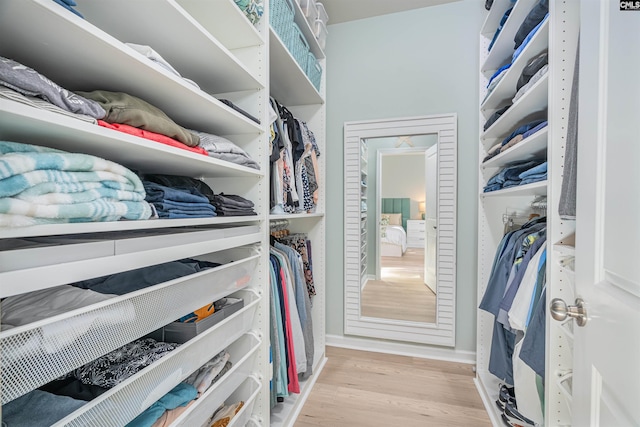 634 Bluff Pointe, Columbia, SC 29212 - walk in closet with light wood-type flooring