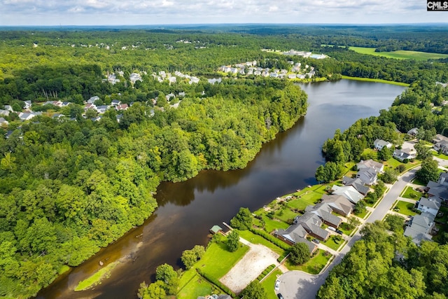 634 Bluff Pointe, Columbia, SC 29212 - aerial view of residential area with a heavily wooded area and a large body of water