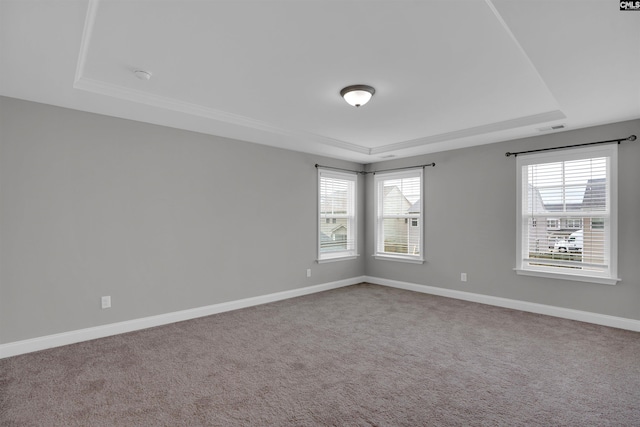 935 Taramore Ln, Lexington, SC 29072 - carpeted spare room featuring a raised ceiling and a smoke detector