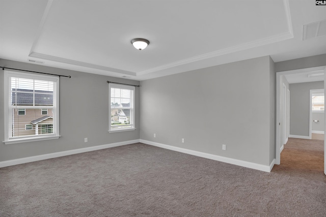 935 Taramore Ln, Lexington, SC 29072 - unfurnished room featuring a tray ceiling, carpet floors, and healthy amount of natural light
