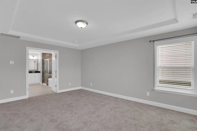 935 Taramore Ln, Lexington, SC 29072 - unfurnished room featuring a tray ceiling, light colored carpet, and ornamental molding