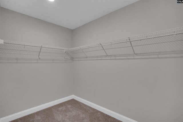 935 Taramore Ln, Lexington, SC 29072 - walk in closet featuring carpet
