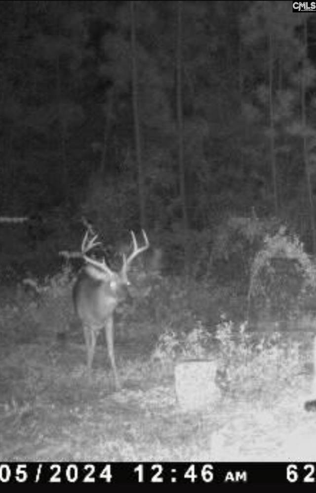 0 Bagpipe Rd, Batesburg, SC 29006
