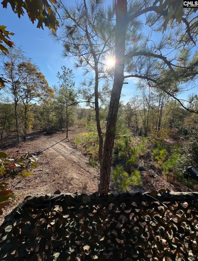 0 Bagpipe Rd, Batesburg, SC 29006