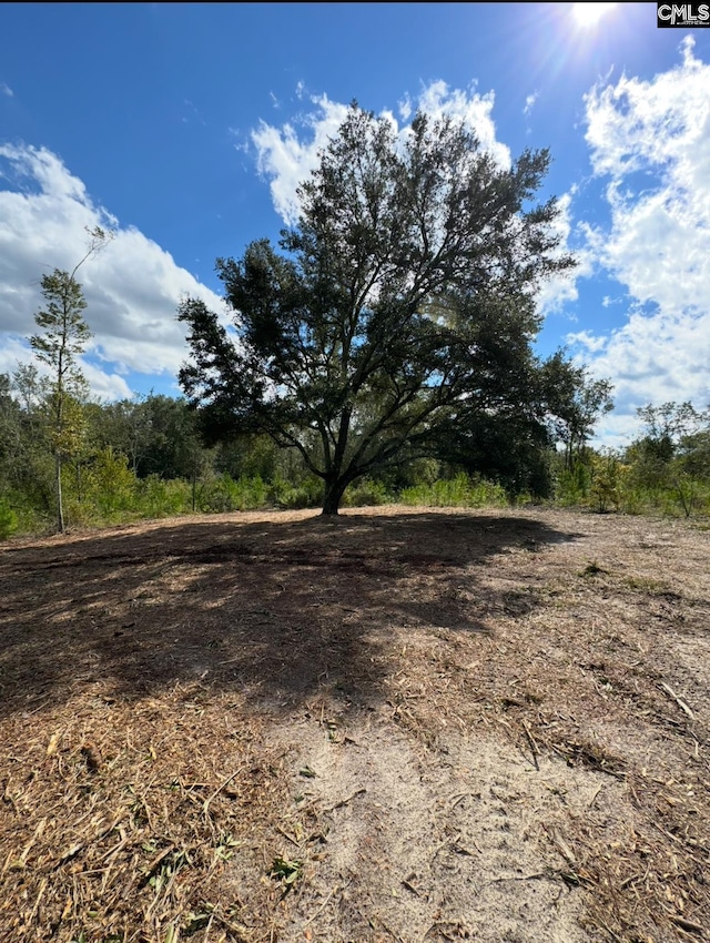 0 Bagpipe Rd, Batesburg, SC 29006