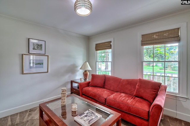 18 Ridgetop Ct, Columbia, SC 29229 - living room with carpet flooring and ornamental molding