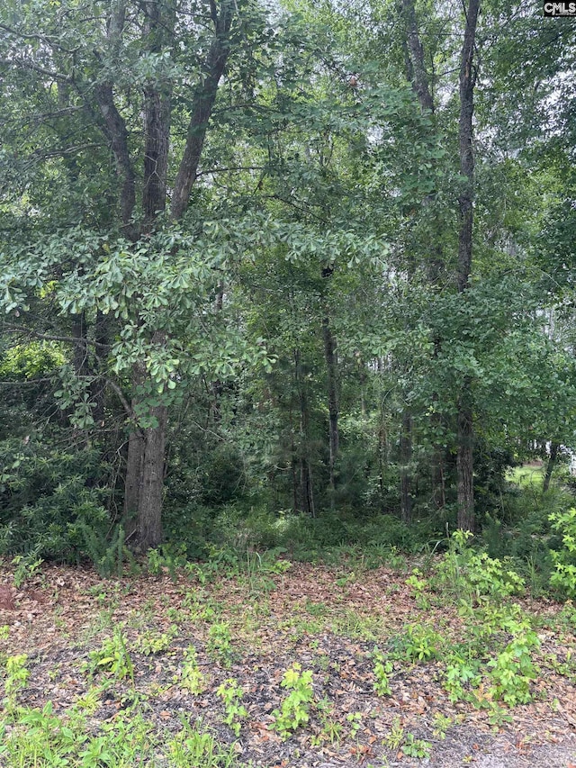 797 Harbor Vista Dr Unit 228, Columbia, SC 29229