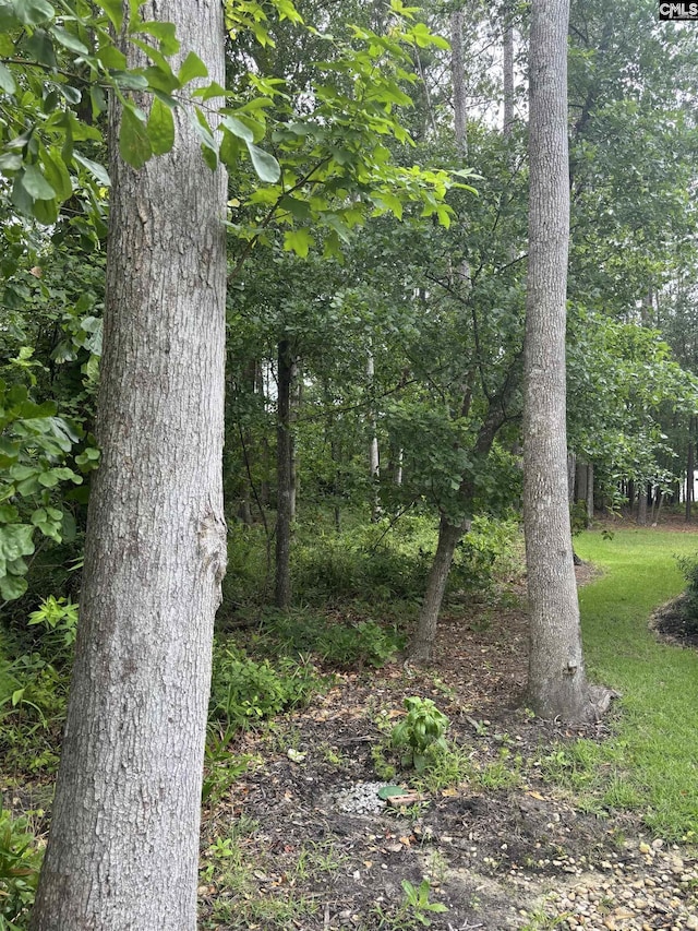 797 Harbor Vista Dr Unit 228, Columbia, SC 29229