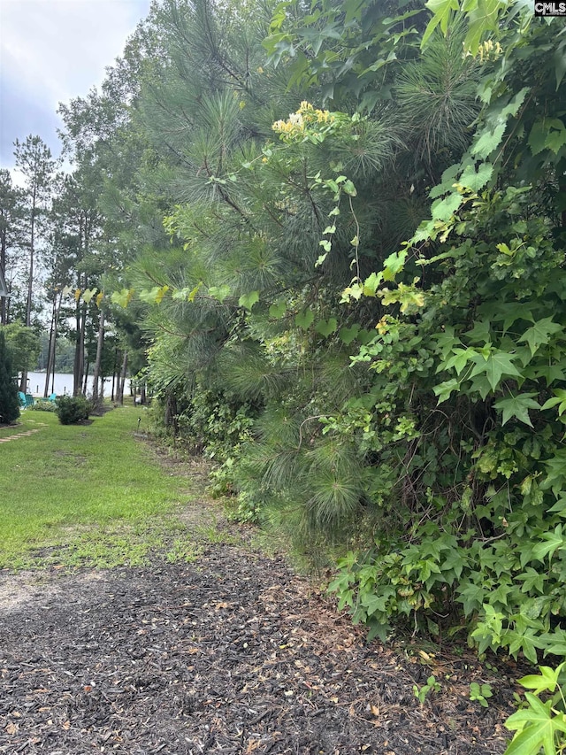 797 Harbor Vista Dr Unit 228, Columbia, SC 29229