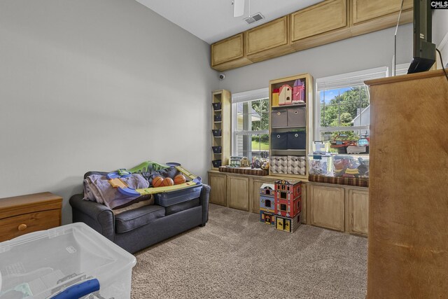 115 Black Creek Ln, Irmo, SC 29063 - playroom featuring carpet floors