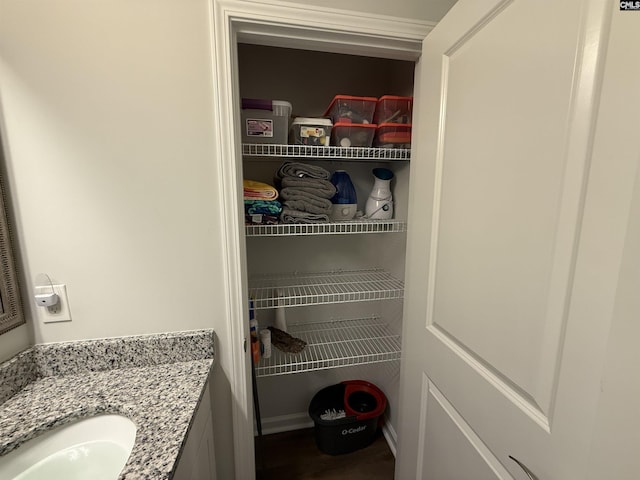 122 Tannery Way, Lexington, SC 29073 - closet with a sink