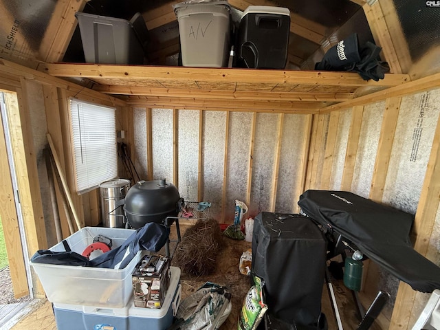 122 Tannery Way, Lexington, SC 29073 - view of storage
