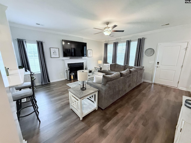 122 Tannery Way, Lexington, SC 29073 - living area with dark wood-style floors, ceiling fan, ornamental molding, and a fireplace