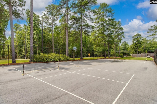 301 Harbor Heights Dr Unit 17D, Lexington, SC 29072 - view of tennis court