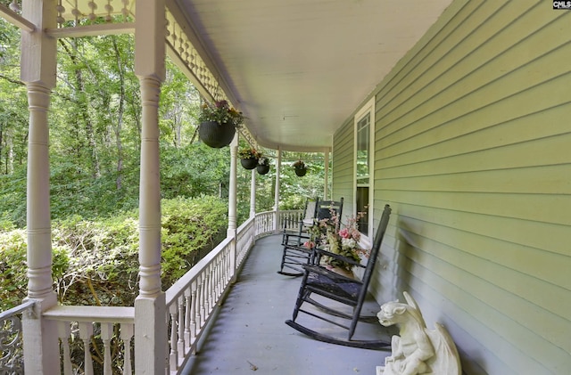 1208 Peacehaven Rd, Chapin, SC 29036 - view of covered porch