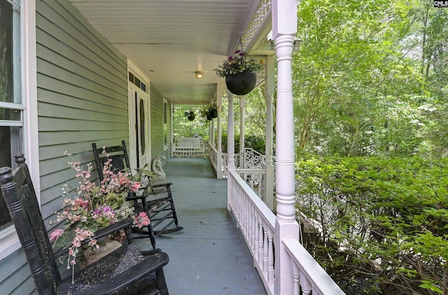 1208 Peacehaven Rd, Chapin, SC 29036 - view of porch