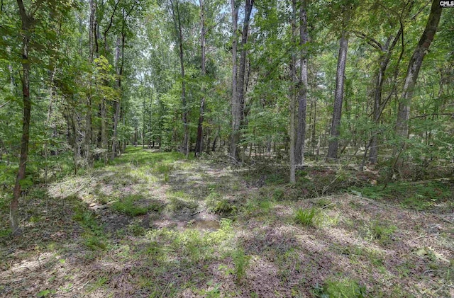 1208 Peacehaven Rd, Chapin, SC 29036 - view of tree filled area