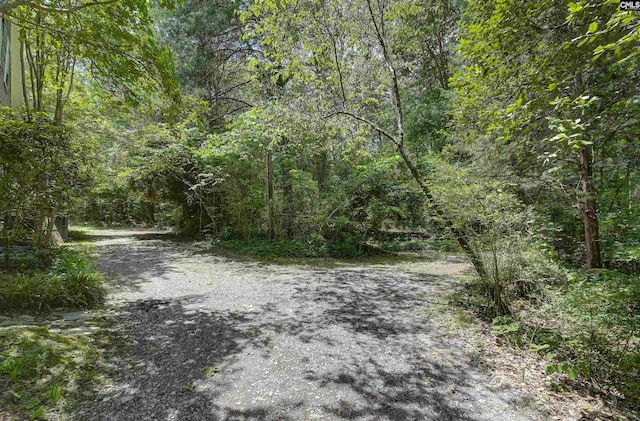 1208 Peacehaven Rd, Chapin, SC 29036 - view of road with a view of trees