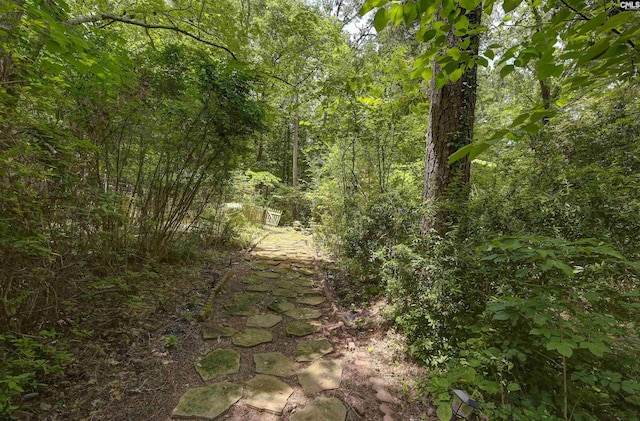 1208 Peacehaven Rd, Chapin, SC 29036 - view of tree filled area