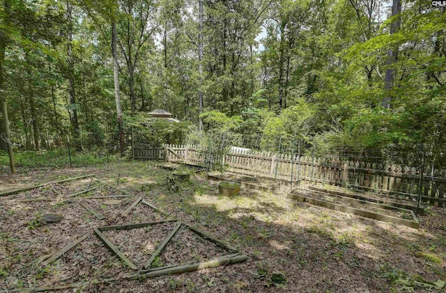 1208 Peacehaven Rd, Chapin, SC 29036 - view of yard
