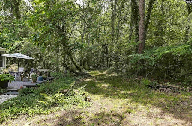 1208 Peacehaven Rd, Chapin, SC 29036 - view of yard with a deck and a forest view