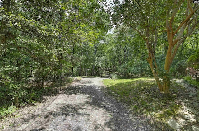 1208 Peacehaven Rd, Chapin, SC 29036 - view of dirt / gravel road with a view of trees