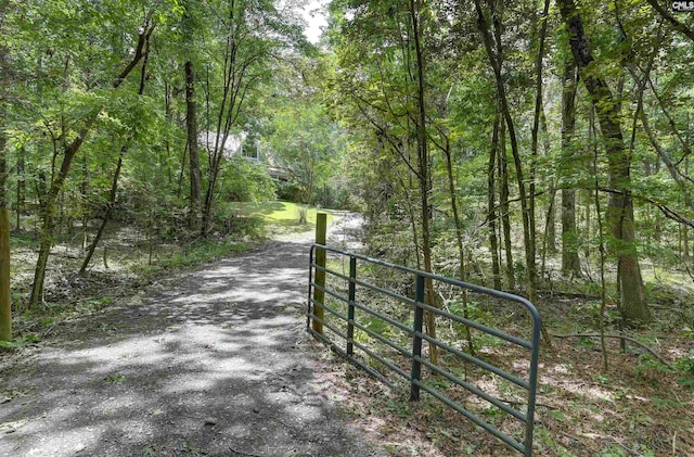 1208 Peacehaven Rd, Chapin, SC 29036 - view of road with a wooded view and a gated entry